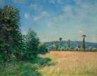 Sahurs Meadows in Morning Sun Art Print