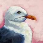 Summer Seagull 1 Art Print