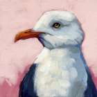 Summer Seagull 2 Art Print