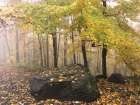 Resting Rock Art Print