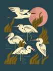 Five Heron Flock Art Print