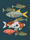 Pond Fishes Art Print