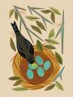 Robin and Nest Art Print