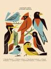Backyard Birds of North America Art Print