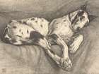 Sleeping Hound, 1930 Art Print