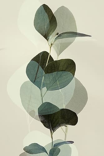 Green Leaves 8 Art Print