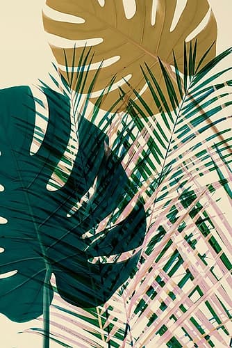 Exsposure 5 Art Print