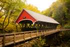 Flume Covered Bridge Art Print