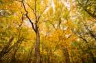 Smugglers Notch Art Print
