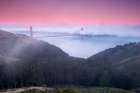 Twilight Fog Art Print