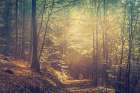 Luminance Art Print