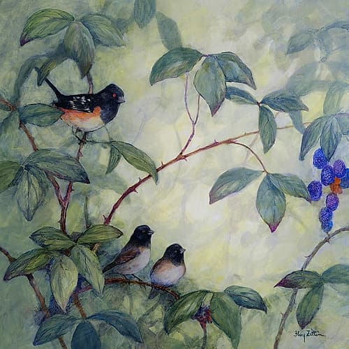 Towhee and Juncos Art Print