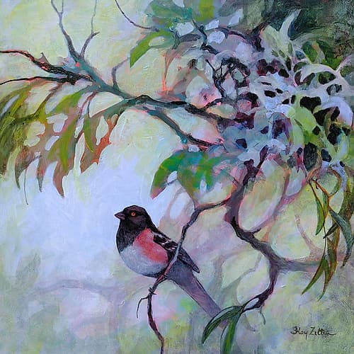 Playful Towhee Art Print