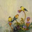 American Goldfinch No. 1 Art Print