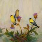 American Goldfinch No. 2 Art Print
