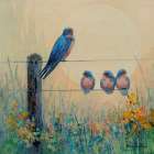 Barn Swallow Family Art Print
