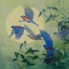 Bluebird Flock Art Print