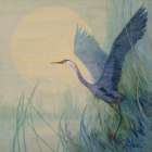 Heron Lifting Off Art Print