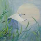 Soaring Snowy Egret Art Print