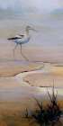 Avocet at Low Tide Art Print