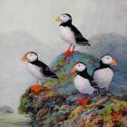 Atlantic Puffins on Rocks Art Print