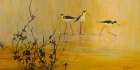 Black-necked Stilts Art Print