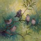 White-crowned Sparrows Art Print