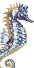 Surf Side Golden Blue Seahorse Art Print