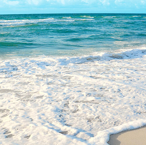 Sea Calling Art Print