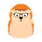 Fun Loving Hedgehog Art Print