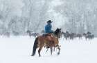 Wrangler In The Snow Art Print