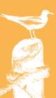 Perching Seabird III Art Print