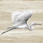 Neutral Great Egret I Art Print