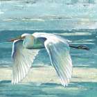 Great Egret II