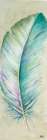 Watercolor Feather II Art Print