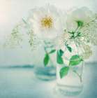 White Peonies