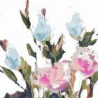 Blossoms II Art Print
