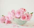 Petals and Porcelain