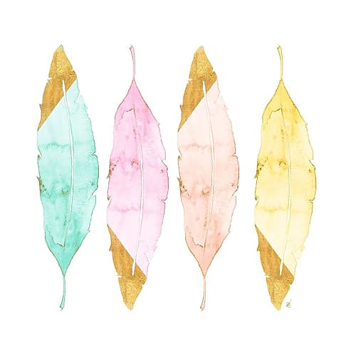 Four Feathers Art Print