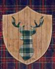 Tartan Shield On Plaid II Art Print