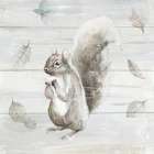 Neutral Squirrel Art Print