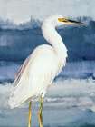 Heron on Blue II Art Print