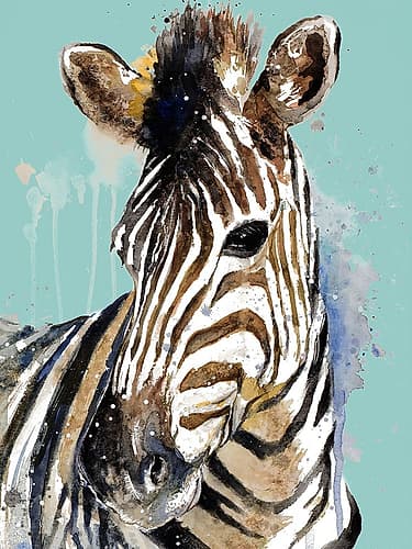 Zebra On Teal Wildlife Print