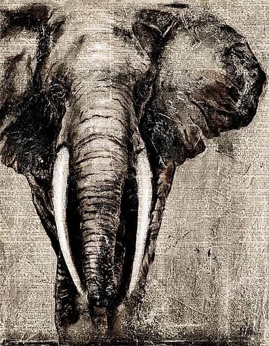 Elephant on Newspaper Wildlife Print