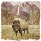 Bison Falls Art Print