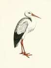 Bird II on Cream Art Print