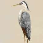 Heron on Tan II Art Print