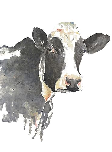 Watercolor Cow Art Print
