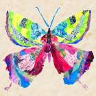 Brilliant Butterfly I Art Print