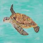 Sea Turtle II Art Print